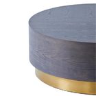 Modern Furniture Stainless Steel Metal Base Coffee Table 100x40cm